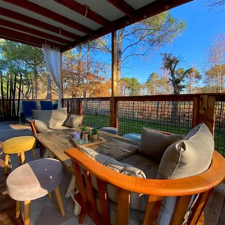 Chalet - 4 Personnes - Bassin D'arcachon * Gujan-Mestras